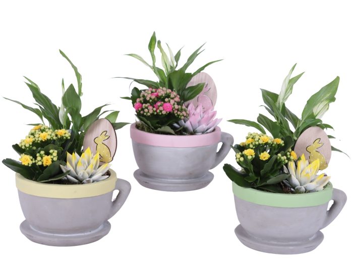 Easter Arr. Indoor Ceramic Cup And Saucer Colored Rim Ø19cm, D 19