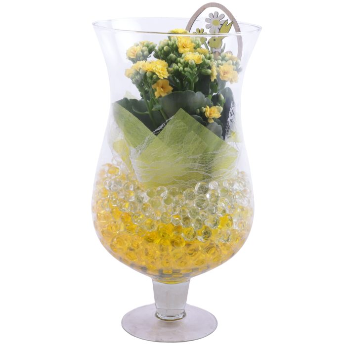 Easter Arr. Indoor Cognac Glass Large Ø17cm 1PP, D 17