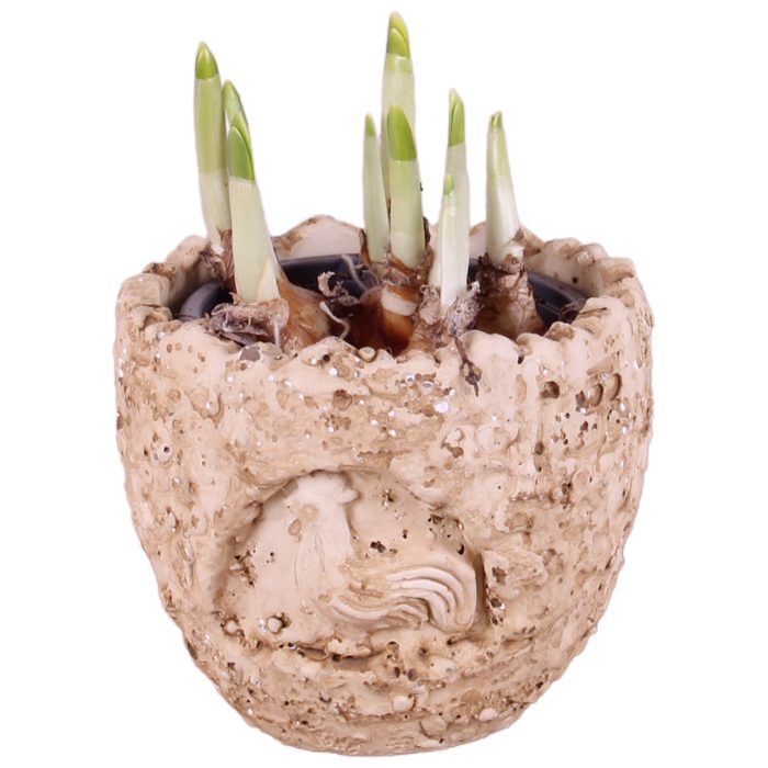 Easter Arr. Narcis Ceramic Lavastone Egg Chicken Relief Ø14cm, D 14