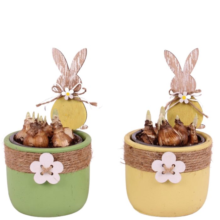 Easter Arr. Narcis Ceramic Pot Round Rope Flower Ø11cm, D 11