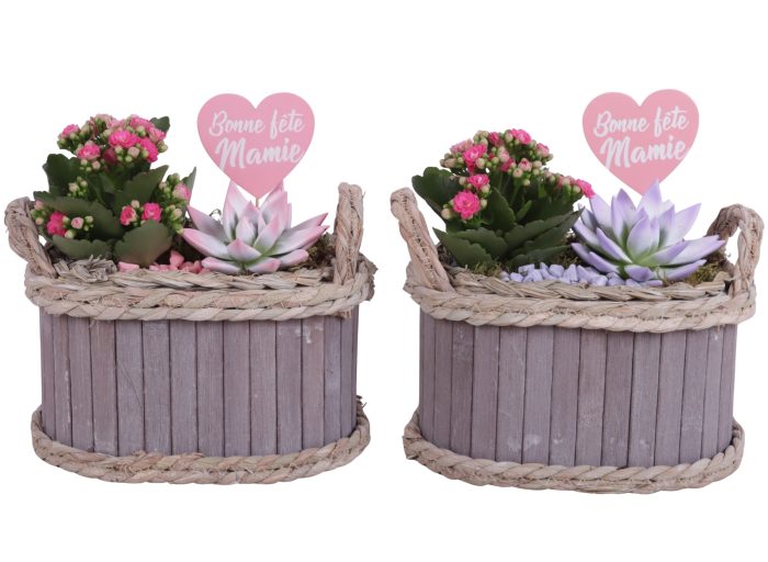 Grandmothers Day Arr. Indoor Wooden Pot Oval Waterhyacint Ø22cm, D 22