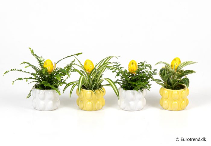 Green mix in Easter ceramic 2026, D 6