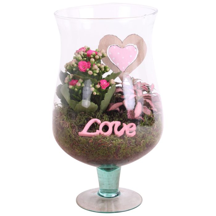 Mothersday Arr. Indoor Glass Cognac Ø17cm 2PP, D 17