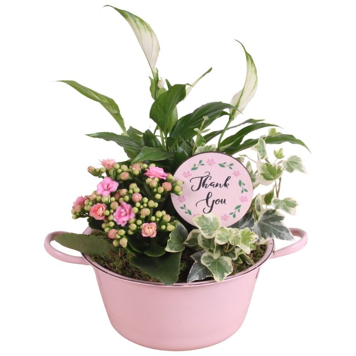 Mothersday Arr. Indoor Zinc Bowl With Handles Pink Ø20cm 3PP, D 20