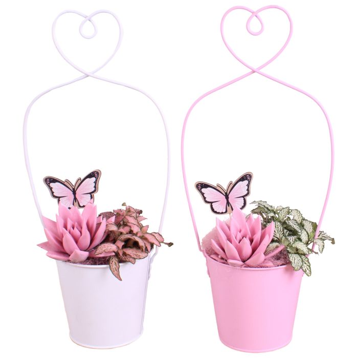 Mothersday Arr. Succulent Zinc Framepot with Heart Ø17cm 2PP, D 17
