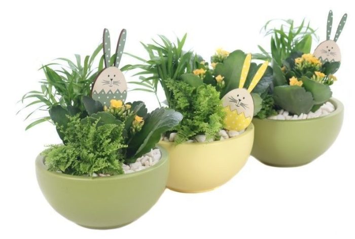 Opgemaakte pasen schaal met 3 x planten en bunny bijsteker, D 15