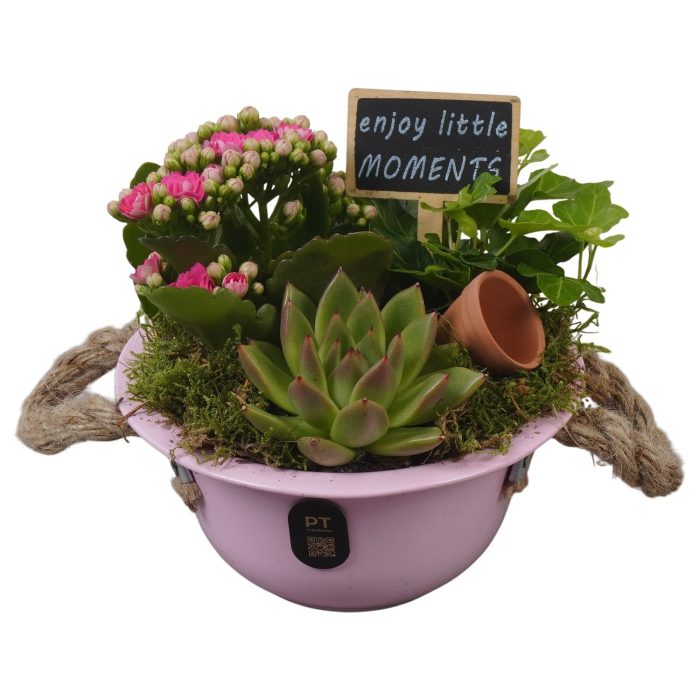 PTIB5319 Arrangement Indoor in metalen schaal, D 16