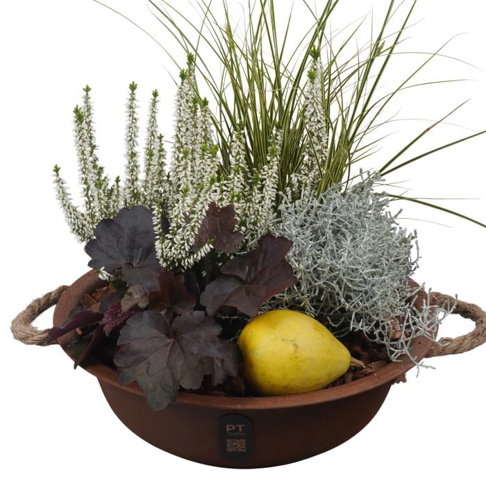 PTHO7559 Arrangement Autumn Outdoor in metalen schaal, D 29