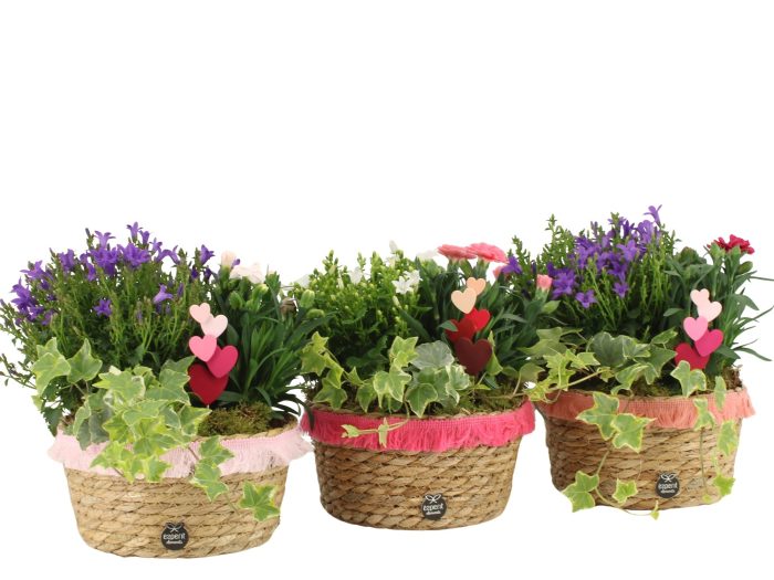 21992: Love outdoor arrangement, D 17