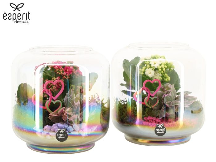 22104: Lovess arrangement, D 17