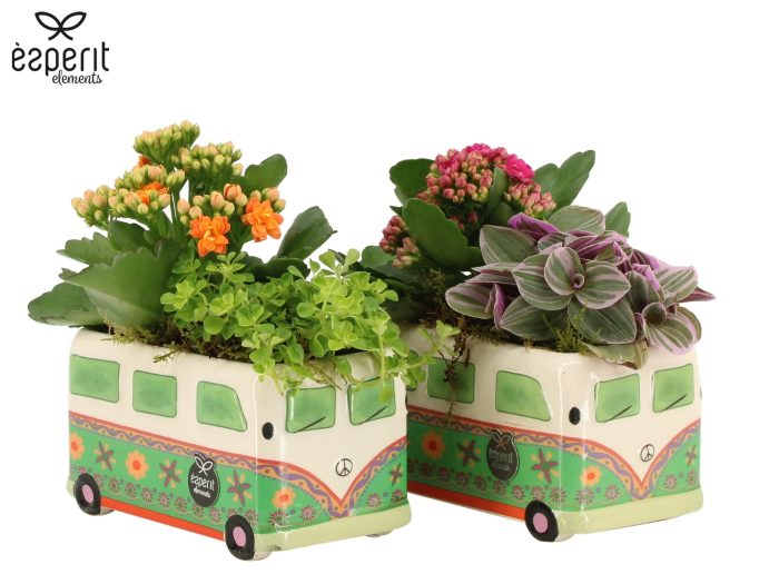 31803: Reinvention arrangement, D 15