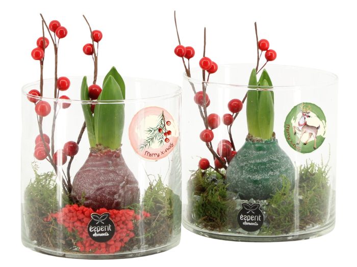 61572: X-mas arrangement, D 12