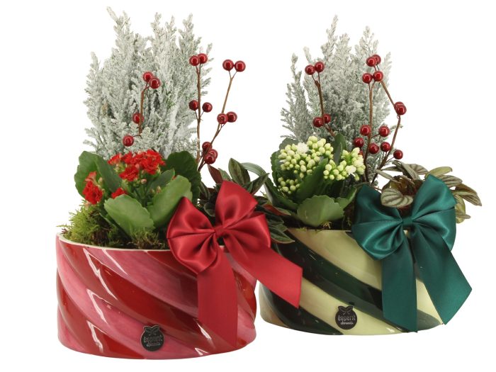 61776: X-mas arrangement, D 17