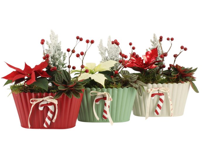 61823: X-mas arrangement, D 20