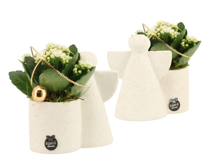 61900: X-mas arrangement, D 15