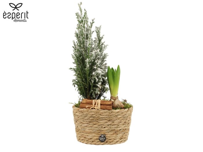 62145: X-mas outdoor arrangement, D 17