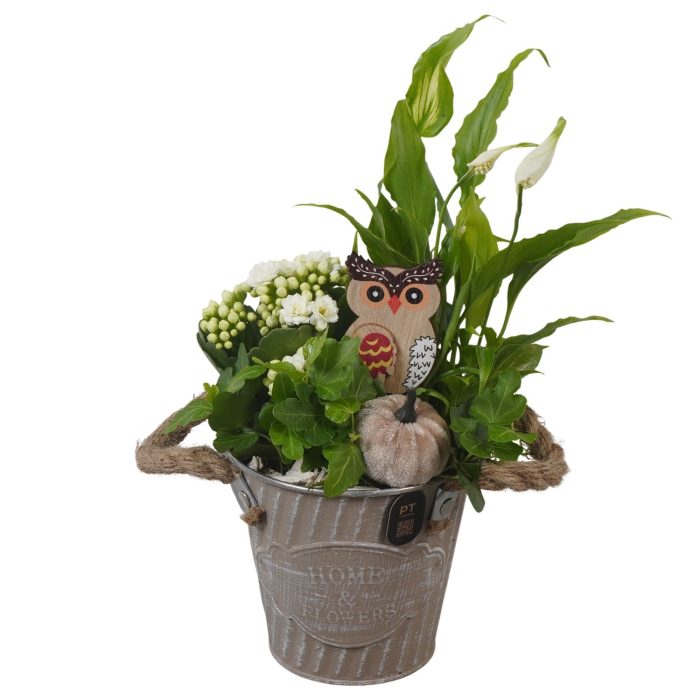 PTHI3403 Arrangement Autumn Indoor in metalen pot, D 12