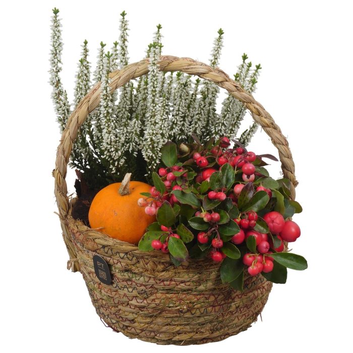 PTHO7523 Arrangement Autumn Outdoor in rieten mand, D 18