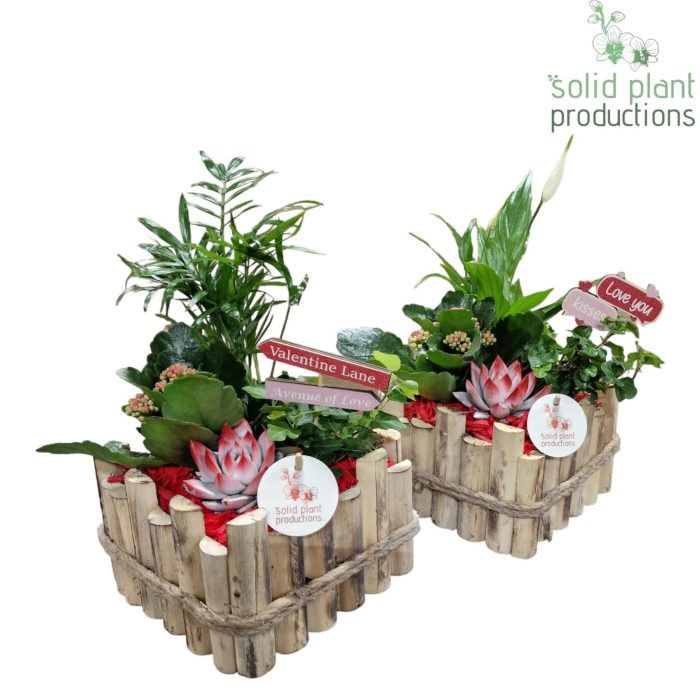 HVSCE004 Verona Small Red Mix, D 18