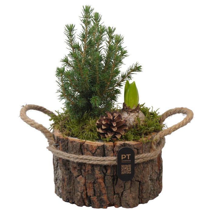 PTWO2815 Arrangement Winter Outdoor in houten bak, D 17