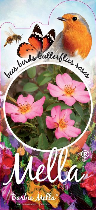 Rosa (H) Barbie™Mella® Stam 90, D 26