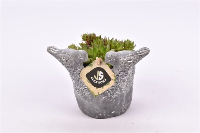 Cement vogelpotje grijs 12cm, D 12