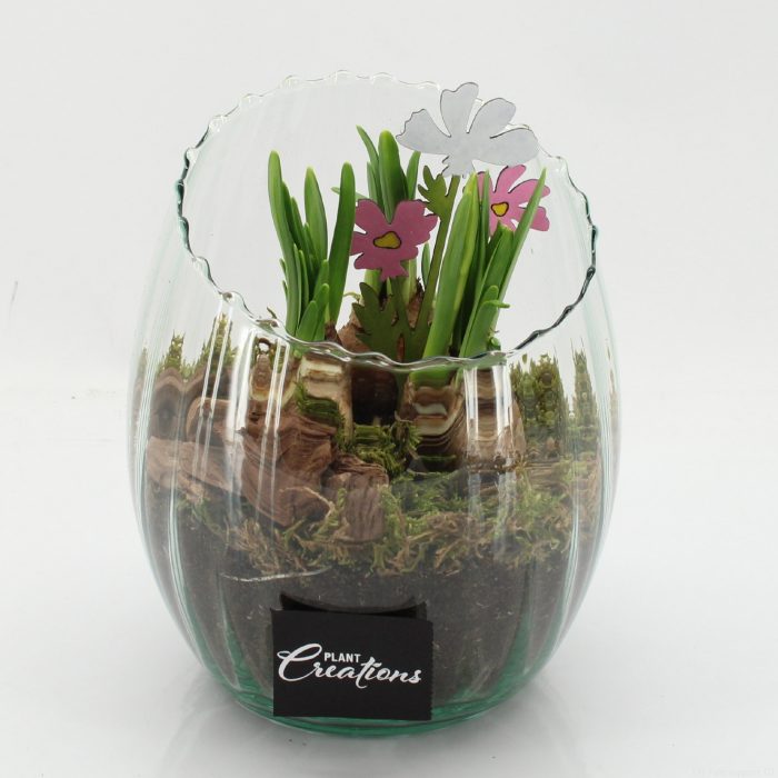 BLCR-2638 Bulbs creations, D 16