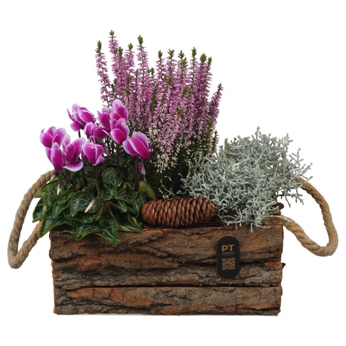 PTHO7662 Arrangement Autumn Outdoor in houten bak, D 24