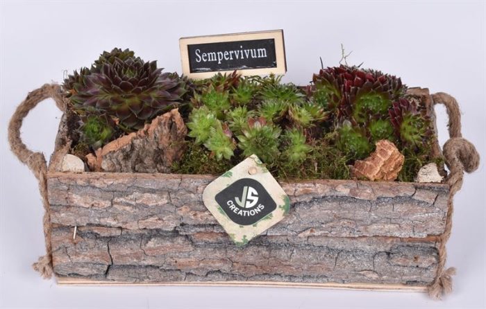 Boomschors rechth. met touw 26x12cm, D 26