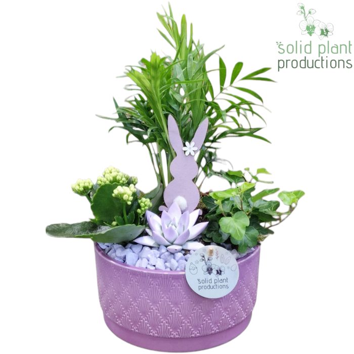 CE003 Loes Lila Easter, D 18