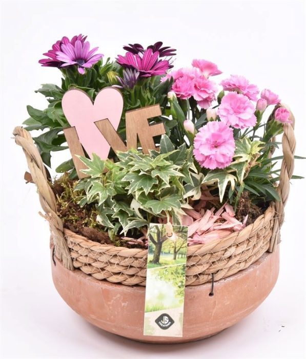 Cement schaal met wilg rand 18cm, D 18