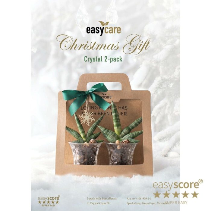 Christmas Crystal 2-Pack, D 7