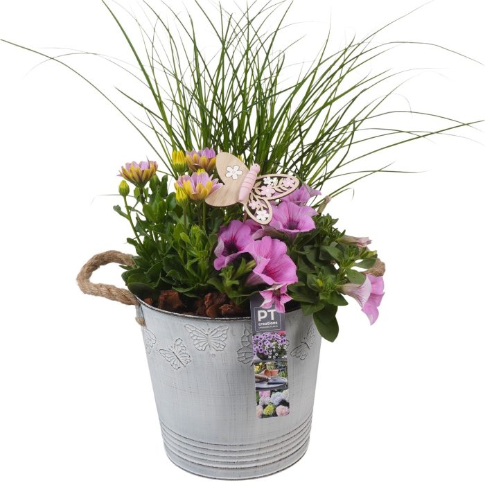 PTPP6816 Arrangement Patio in metalen bak, D 19