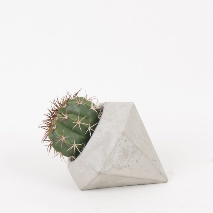 Diamond with Cactus mix, D 9