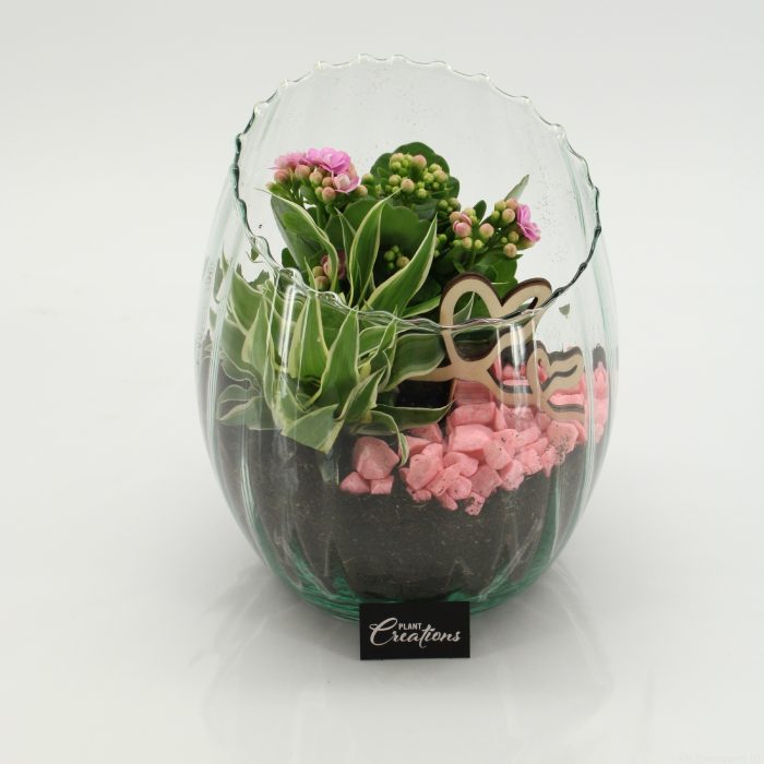 ENMD-2612 English Mother's day, D 16