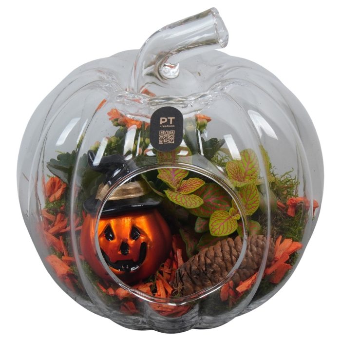 PTHL3538 Arrangement Halloween in glazen pompoen, D 19