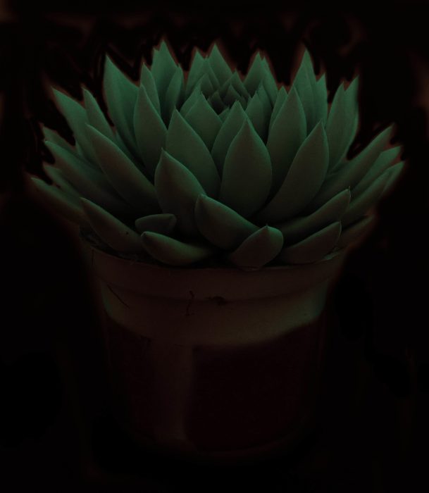 Glow in the dark + etiket, D 17