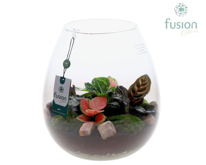 Green Bottle Abby XLarge met groene planten, D 29
