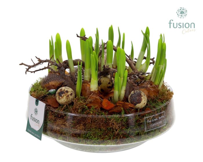 Green Bottle Iris Large met Pasen arrangement, D 24