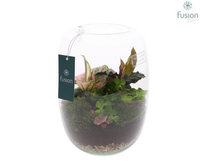 Green Bottle Isabella Large met arrangement, D 19