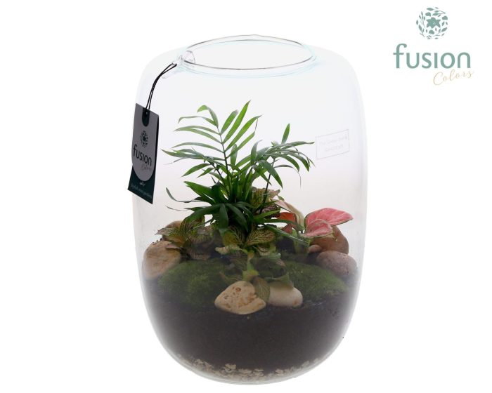 Green Bottle Isabella XLarge met arrangement, D 23