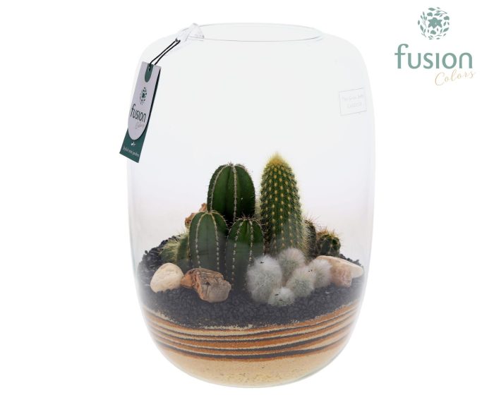 Green Bottle Isabella XLarge met zand arrangement, D 23