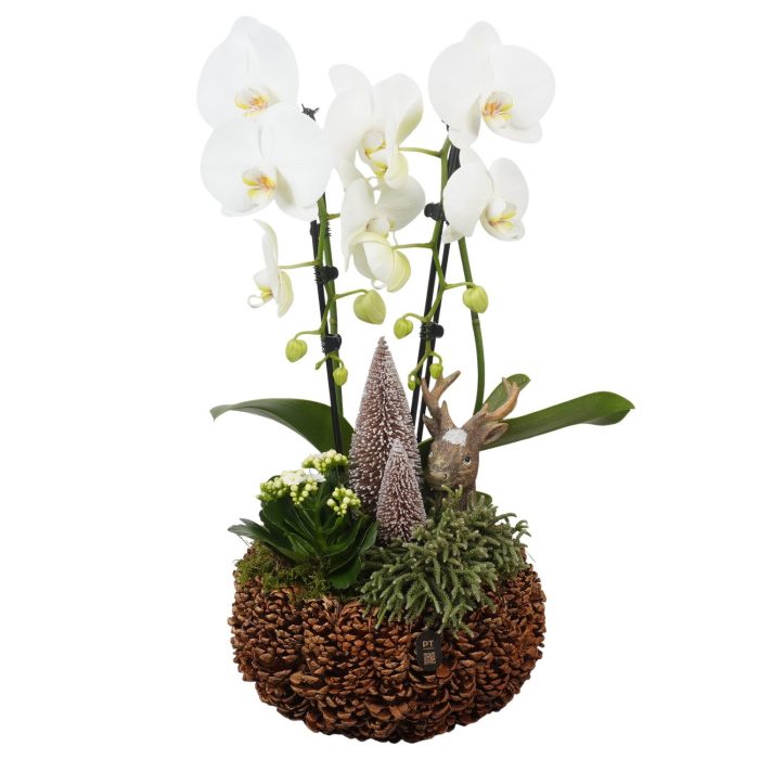 PTCHB5868 Arrangement Christmas Bronze in houten bak, D 28