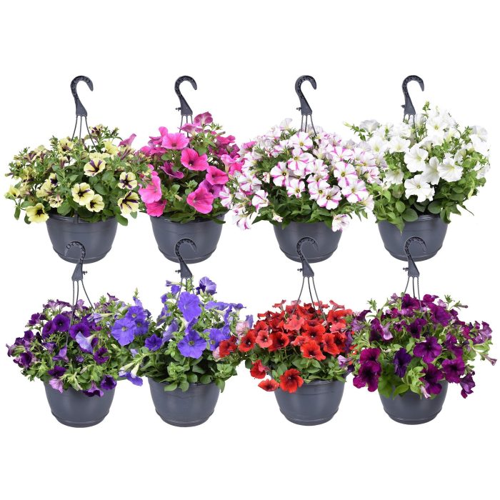 Hpot Pet Mixlaag ZONDER hoes, D 25