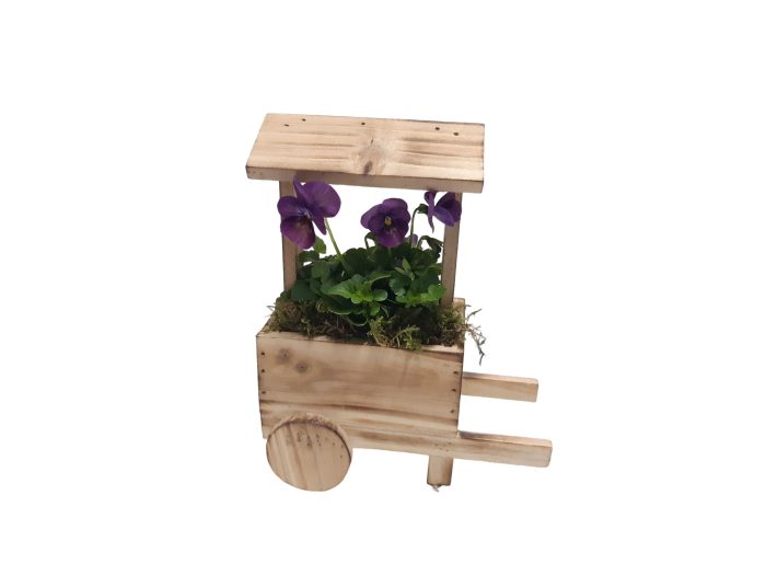 HT16MK Houten Marktkraam 16cm Viola Cornuta gemengd, D 16