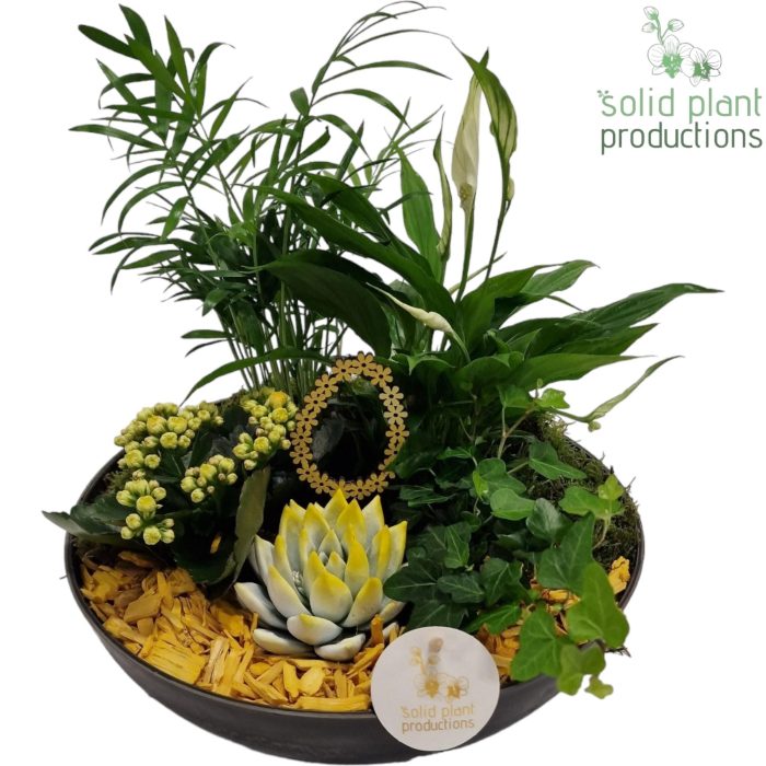 SCE011 Artstone Easter Yellow, D 30