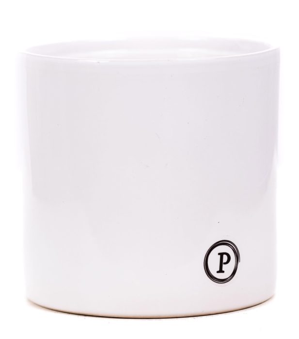 P&PURE Essential white ceramics: 54 x 5 in multi purpose tray, D 13