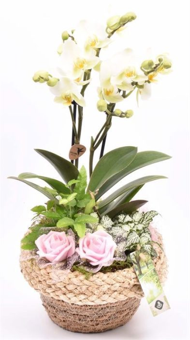 Jute mand met rand 18cm, D 18