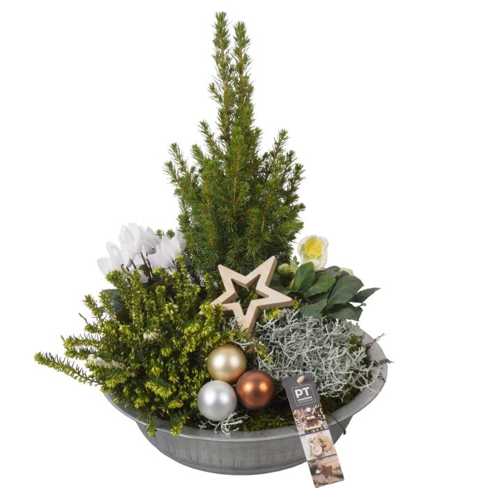 PTWO1950 Arrangement Winter Outdoor in metalen schaal, D 33