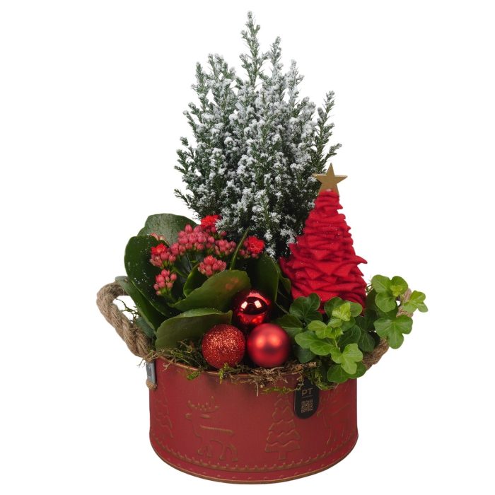 PTCHR9579 Arrangement Christmas Red in metalen pot, D 16